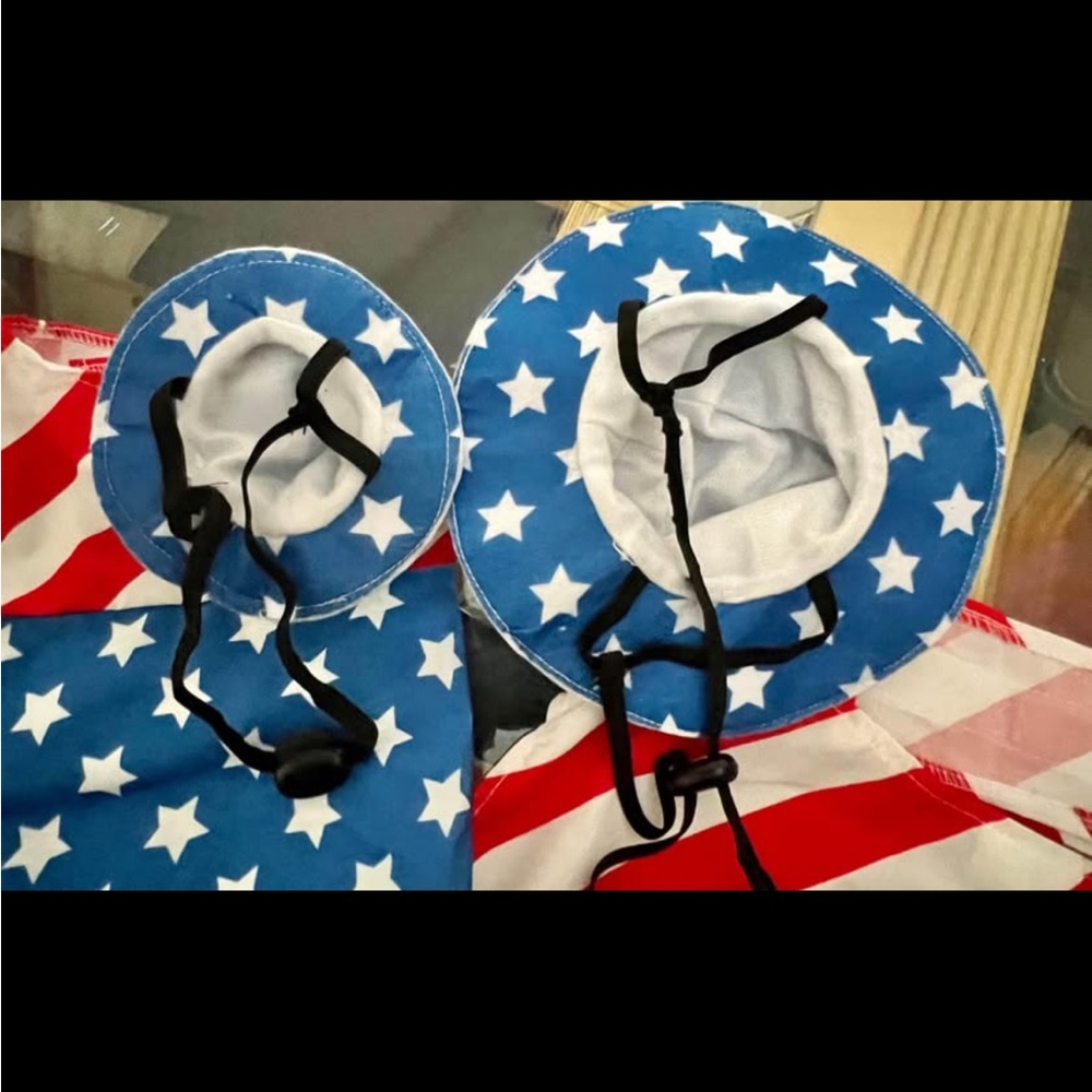 Patriotic Stars & Stripes Dog Outfit Set Large or Small (S fits Cats) - Picture 4 of 9